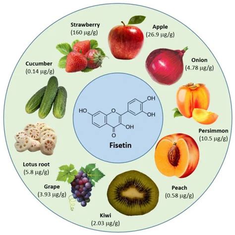 fistin|Fisetin Potential Benefits + Foods, Dosage & Side Effects